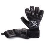 Rectrix 1.0