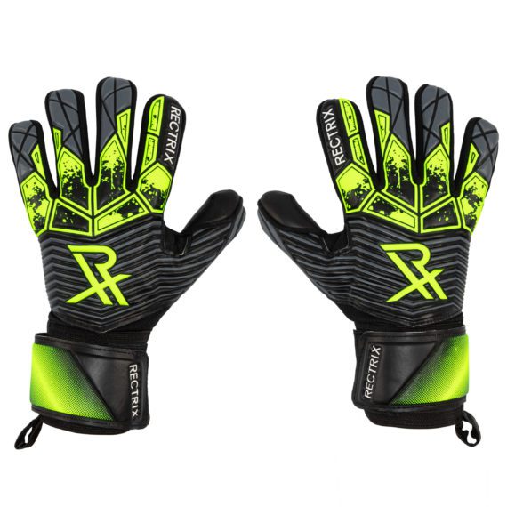 Rectrix Bold