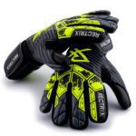 Rectrix Bold