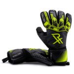 Rectrix Bold