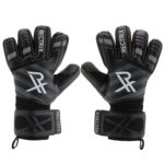 Rectrix 1.0