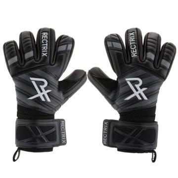 Rectrix 1.0