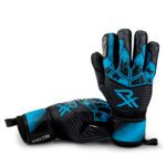 Rectrix Bold