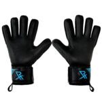 Rectrix Bold