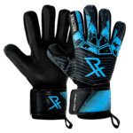 Rectrix Bold
