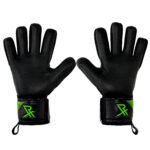 Rectrix Bold