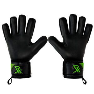 Rectrix Bold