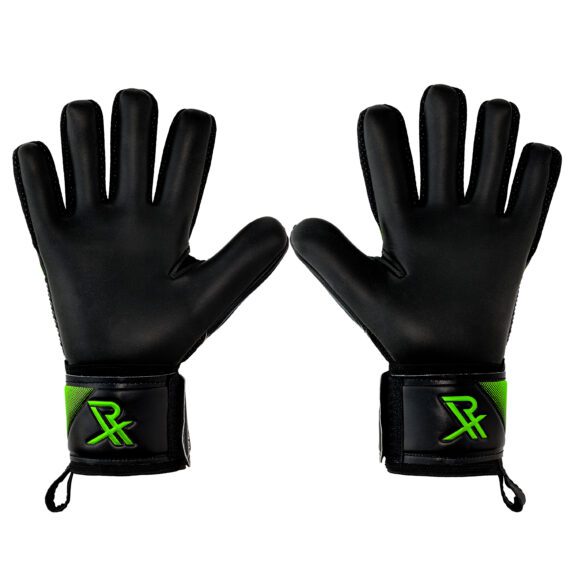 Rectrix Bold