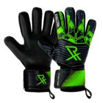 Rectrix Bold