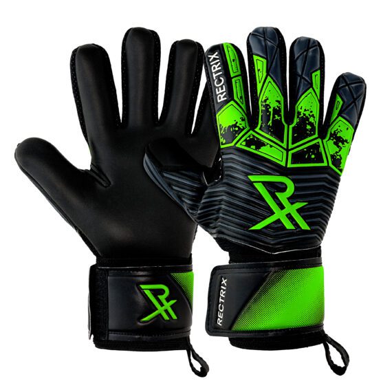 Rectrix Bold