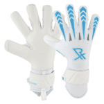 Rectrix Glory Rectrix Glory